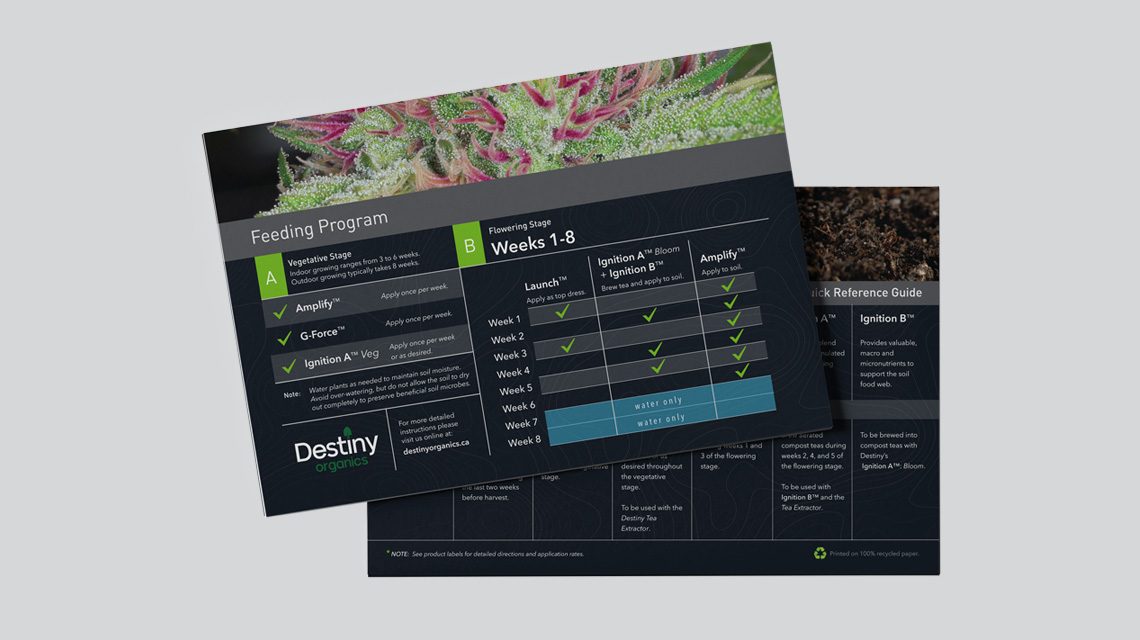 Destiny — Feeding schedule